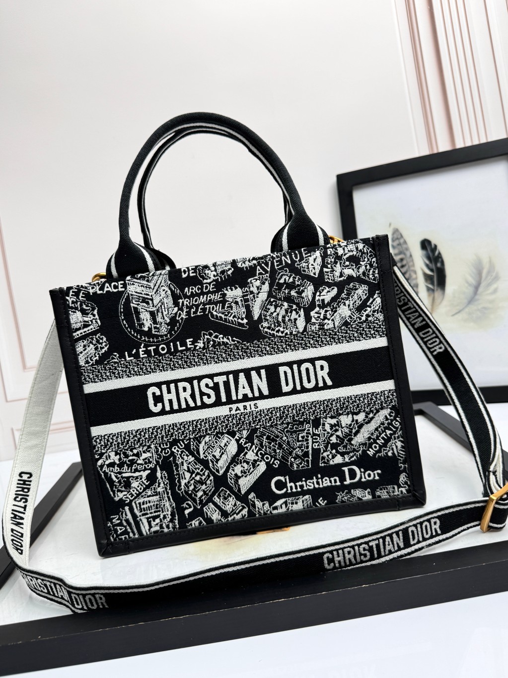 Small Dior Book Tote Bag Black and White Plan de Paris Embroidery with Black Calfskin